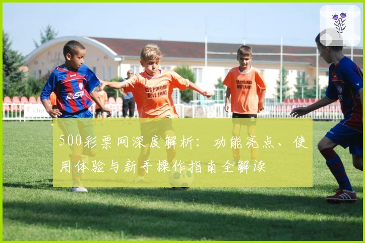 500彩票网深度解析：功能亮点、使用体验与新手操作指南全解读